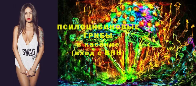 Псилоцибиновые грибы MAGIC MUSHROOMS  Болотное 